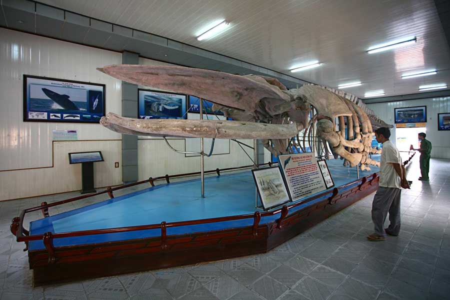 Bảo tàng Hải dương học Nha Trang